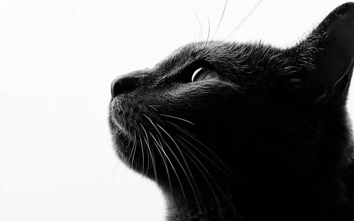 Fine art black and white portrait photography