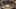 Um vídeo de prompt de jantar de Ano Novo Chinês no estilo "A Bite of China" para Seedance 2.0