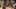 AI Dojo Fight Scene with Dimensional Style Shifts