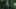 AI Wedding Video Prompt: Minimalist Forest Style with Light Effects