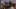 3D Animation: Anubis Tickle Story