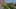 FPV Drone Map Flight