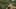 Ginza Six First-Person Virtual Tour
