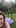 Realistic iPhone POV Golf Prank