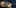Grok Imagine R2V Multi-Image Reference Tutorial