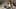 Luxury UGC Fashion Creator Review - Seedance 2.5 AI Video Prompt for Brand / Product Commercial