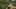 Middle Earth Virtual Tour Map
