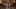 Realistic Cinematic Travel Vlog - Seedance 2.5 AI Video Prompt for Vlog / Social Lifestyle