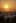 Sheep Gathering at Sunrise Video