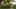 Tropical Village Travel Vlog - Seedance 2.5 AI Video Prompt for Vlog / Social Lifestyle
