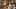 UGC Luxury Watch Review - Seedance 2.5 AI Video Prompt for UGC / Talking Head Ad