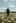 Video generation prompt focusing on camera movement and depth of field