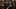 Video prompt for a tavern fight scene