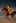 Video prompt of a lady riding a flying horse on the seashore