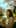 Young Woman Under Cherry Blossoms (Extended Video)