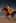 Video prompt of a lady riding a flying horse on the seashore