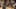 AI Dojo Fight Scene with Dimensional Style Shifts