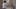 Exemplo de Prompt de Texto para Vídeo do Seedance 2.0