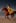 Video prompt of a lady riding a flying horse on the seashore