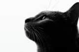Fine art black and white portrait photography