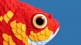 Super macro close-up of goldfish eye with vivid red orange