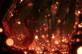 An Enchanted Forest scene with Subject surrounded by Firefly