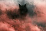 Subject emerging through a Whispered Phantom Veil