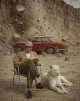 Surreal cinematic vintage photograph of a calm