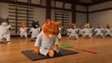 Taekwondo Cat Rooftop Chase