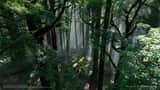 AI Wedding Video Prompt: Minimalist Forest Style with Light Effects
