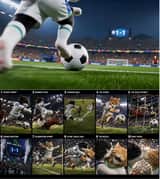 Cinematic Cat Football Championship Highlights
