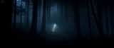Cinematic Forest Horror Sequence