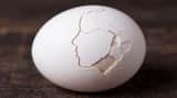 Cracked Egg with Shape Outline