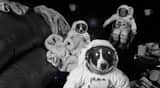 宇宙を楽しく漂う動画プロンプト