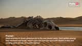 Giant Prehistoric Beast Wakes Up in the Desert