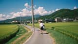 Japanese Countryside Summer Memories