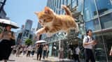Kaiju Kitten Destroying Sydney Waterfront