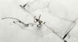 Miniature Ink Movement Image Generation Prompt