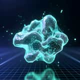 Quantum 4D 运动提示词