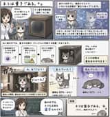 Manga del gatto quantistico