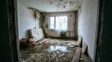 Renovation Visualization: Before Frame