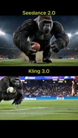 Rugby Match: Humans vs. Gorillas