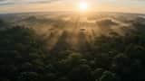 Wildlife Documentary Jungle Transformation