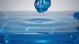 Sapphire Blue Jello Cat Animation