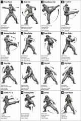 Sequence and Movement Instruction for Martial Arts Video reference