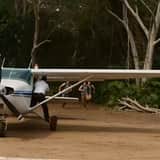 T-Rex Jungle Airstrip Escape