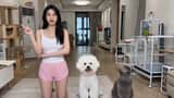 The Actor's Self-Cultivation Skit Video Prompt