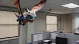The Office Dragon