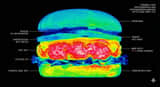 Thermal X-Ray Style Infographic Prompt (Nintendo Switch Example)
