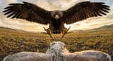 Foto cinematografica grandangolare di un coniglio e un'aquila